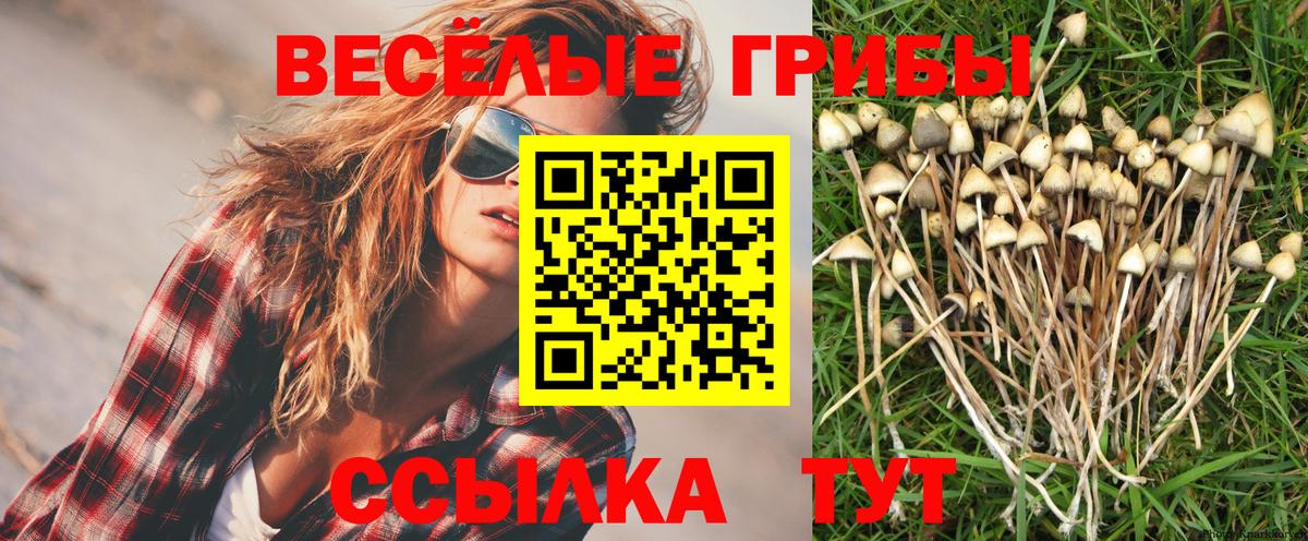 Ленинск-Кузнецкий  Галлюциногенные грибы Magic Shrooms  купить  сайты  Вход с VPN 